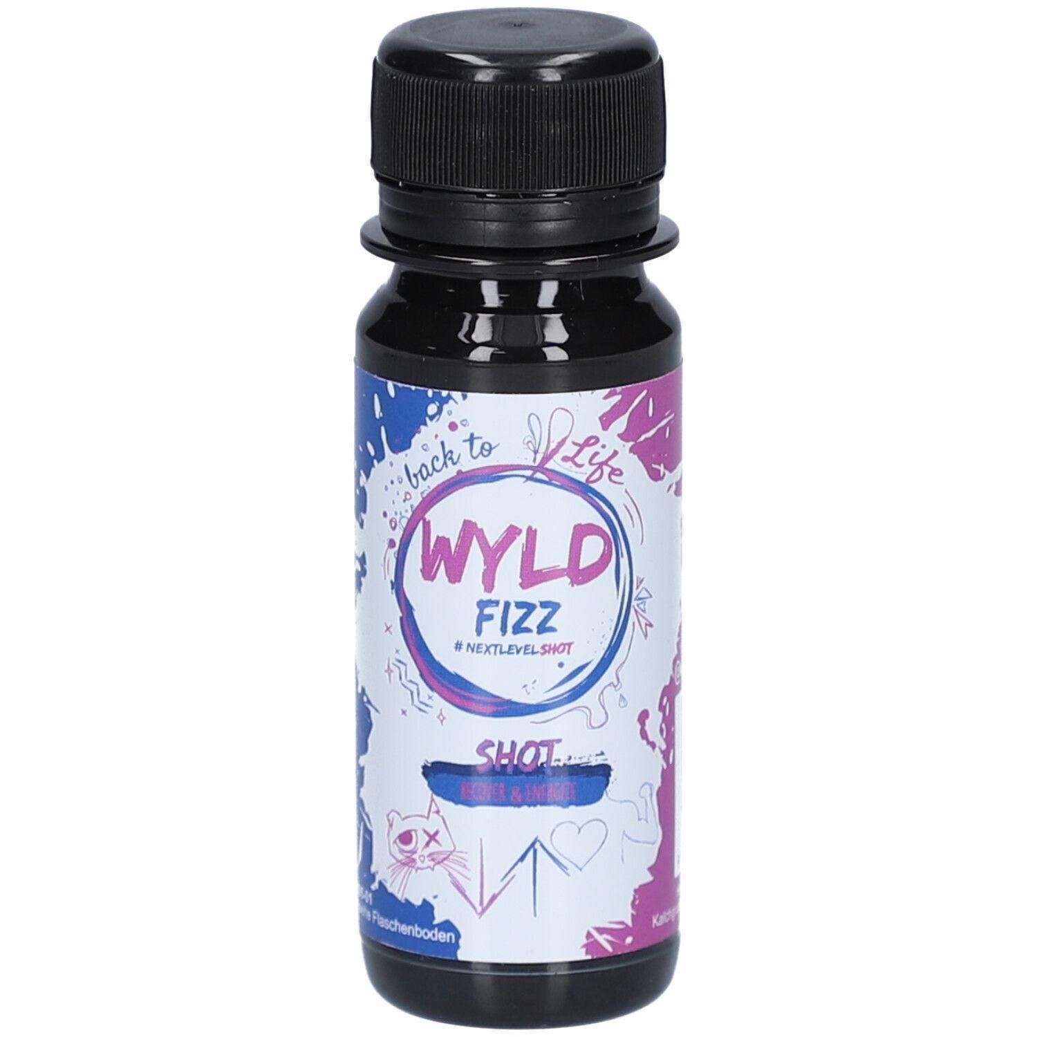 WYLD FIZZ Shot Flasche mit schwarzem Deckel und bunter Etikettierung.
