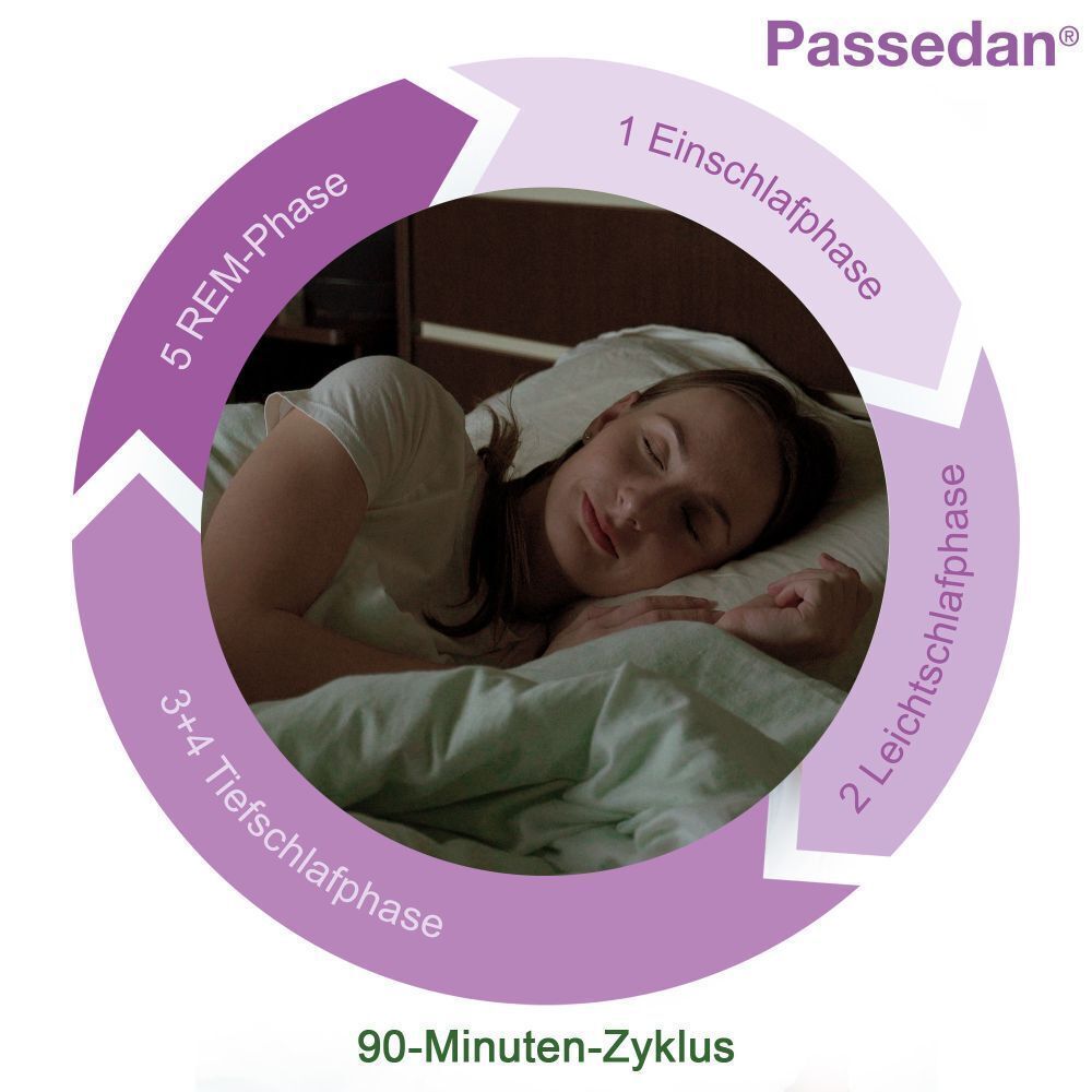Schlafzyklus-Diagramm mit "Passedan®"-Logo. Zeigt 90-Minuten-Zyklus mit 5 Phasen: Einschlaf-, Leicht-, Tiefschlaf- und REM-Phase.