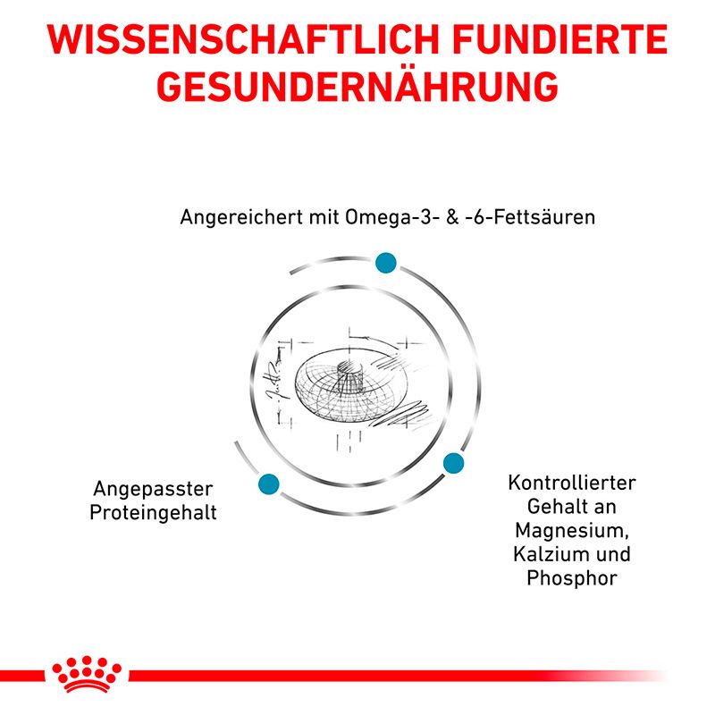 ROYAL CANIN® Katzenfutter: Wissenschaftlich fundierte Ernährung mit Omega-3- & -6-Fettsäuren.