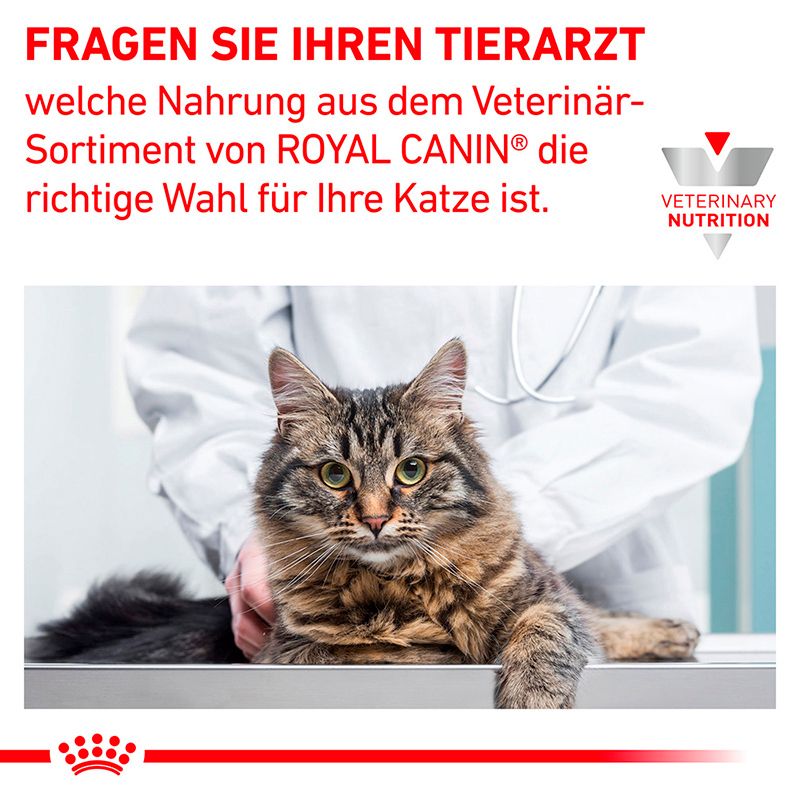 Fragen Sie Ihren Tierarzt nach der richtigen ROYAL CANIN® Ernährung für Ihre Katze.