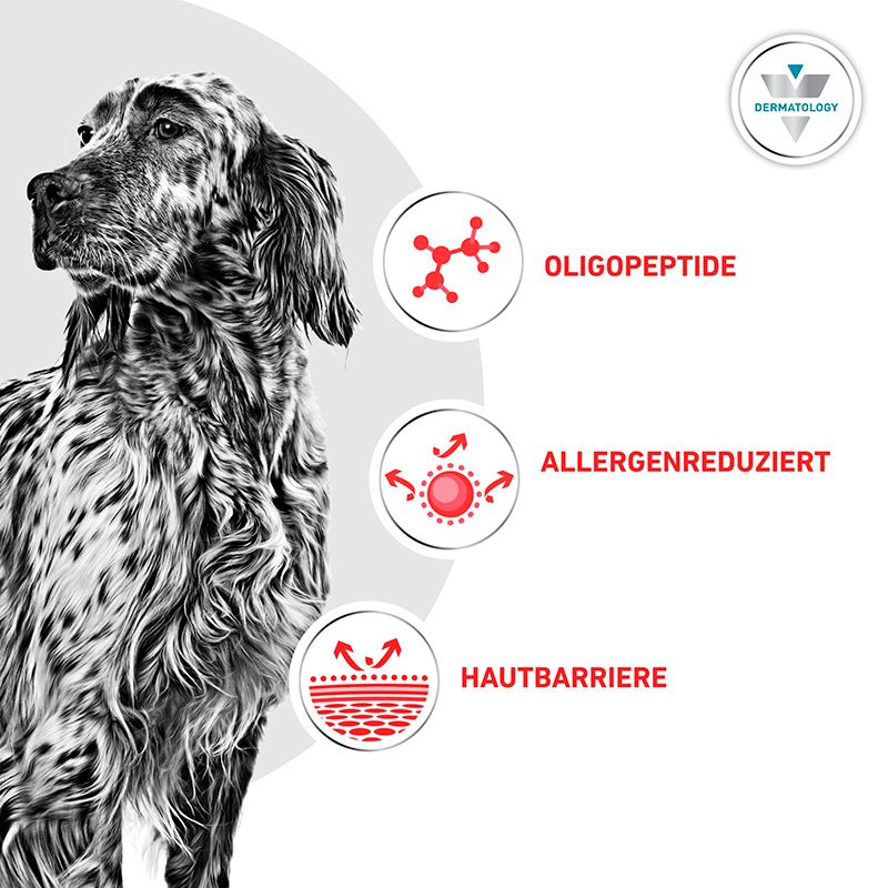 Hund mit Symbolen: Oligopeptid, allergenreduziert, Hautbarriere-Unterstützung für Hunde.