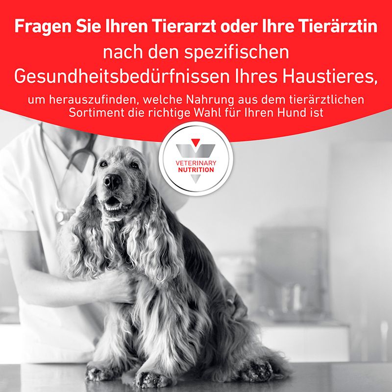 Tierarzt hält Hund. Text: Fragen Sie Ihren Tierarzt nach spezifischen Gesundheitsbedürfnissen Ihres Haustieres.