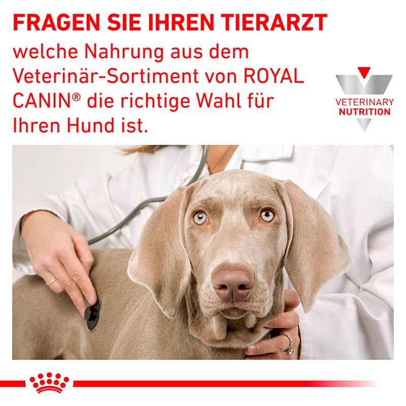 Tierarzt berät Hundebesitzer über Royal Canin Veterinary Ernährung. Hund wird untersucht.