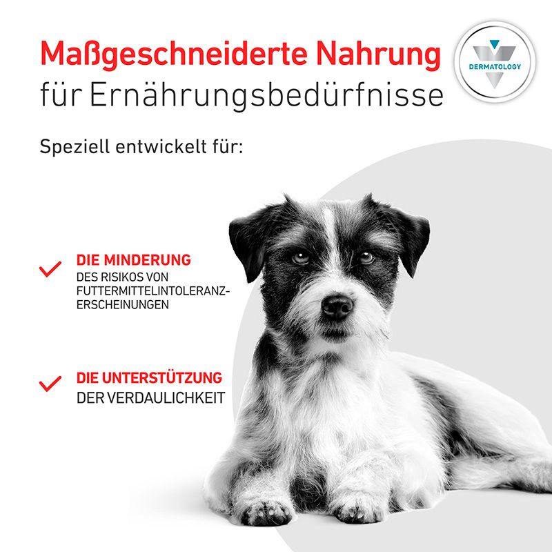 Maßgeschneiderte Nahrung für Ernährungsbedürfnisse: Hund mit Hinweisen zu Risikominimierung und Verdauungsunterstützung.