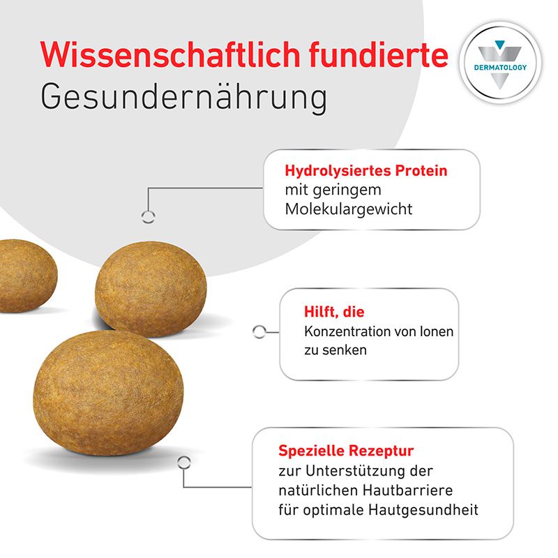 Wissenschaftlich fundierte Gesunderährung: Hundefutter-Kroketten mit Erklärungen zu Protein, Ionen und Hautbarriere.
