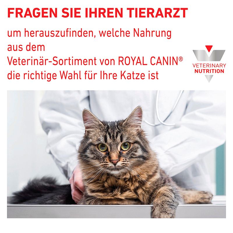 Tierarzt empfiehlt Royal Canin Veterinary Diät für Katzen.