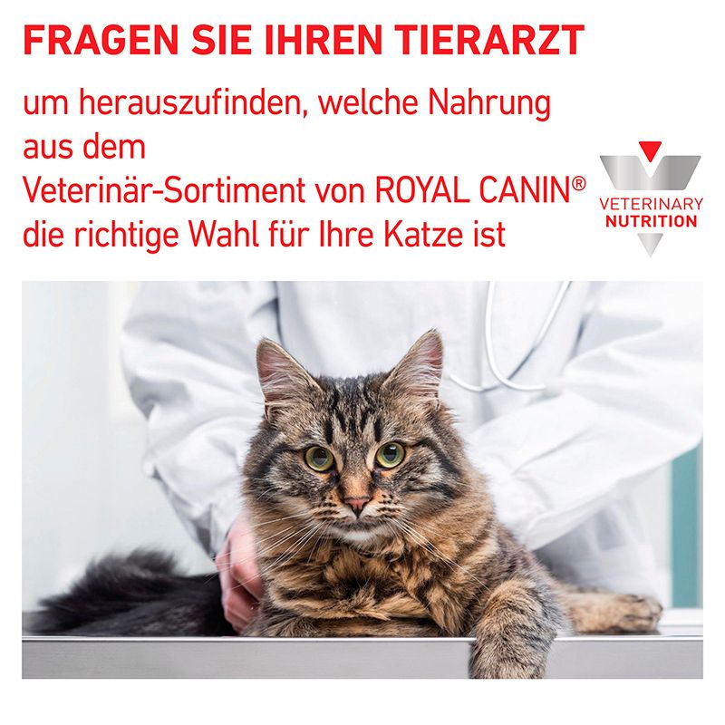 Royal Canin Diätetische Trockennahrung für Katzen: Katze bei Tierarzt, Beratung zur Wahl der richtigen Nahrung.
