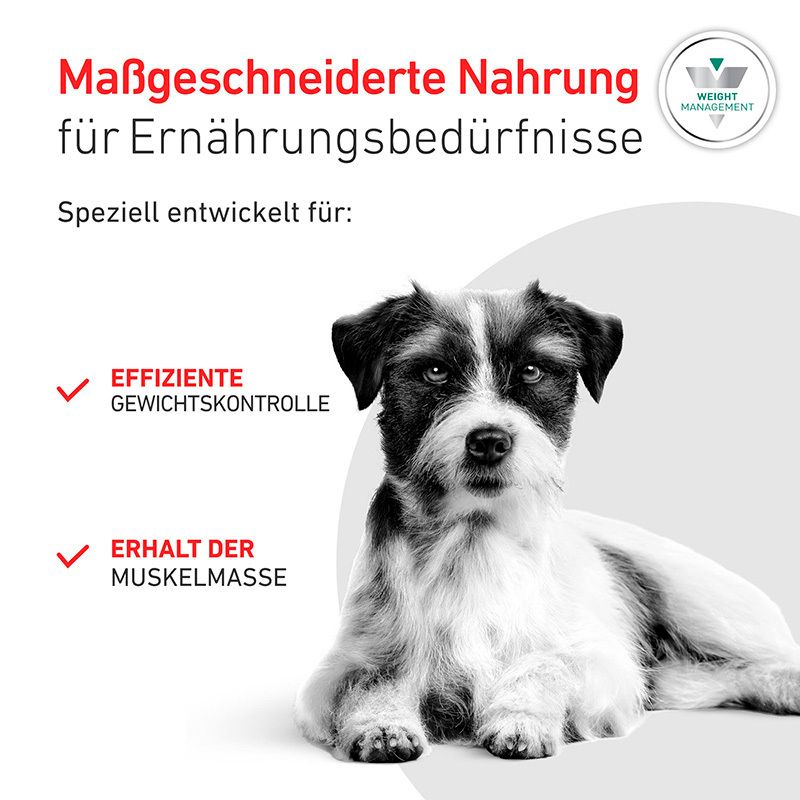 Maßgeschneiderte Nahrung für Ernährungsbedürfnisse: Effiziente Gewichtskontrolle, Erhalt der Muskelmasse.