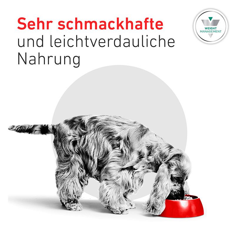 Sehr schmackhafte und leicht verdauliche Nahrung für Hunde.