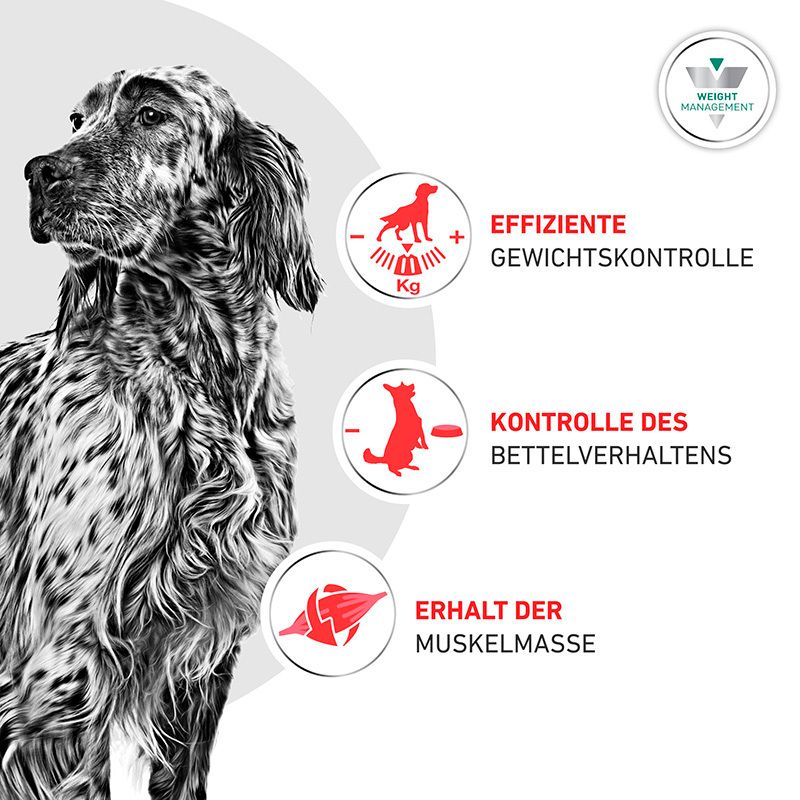 ROYAL CANIN® Satiety Weight Management: Gewichtskontrolle, Verhalten und Muskelerhalt.