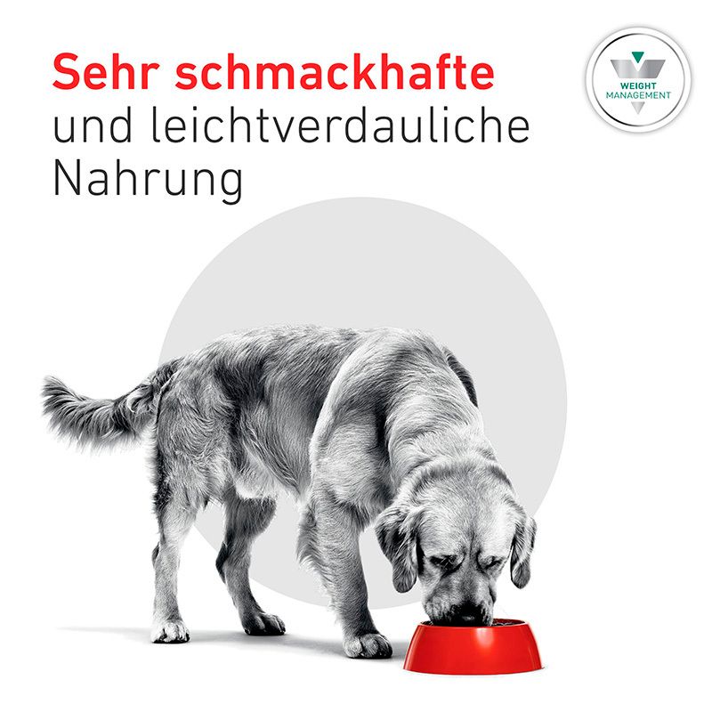 Hund frisst schmackhafte und leichtverdauliche ROYAL CANIN® Satiety Weight Management Nahrung.