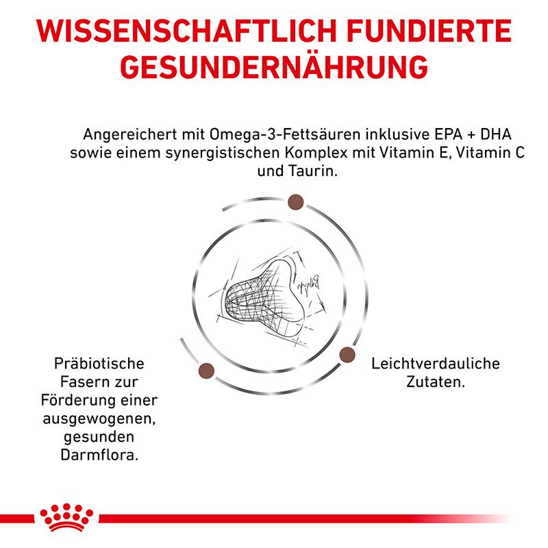 Wissenschaftlich fundierte Katzennahrung: Präbiotische Fasern und leichtverdauliche Zutaten.