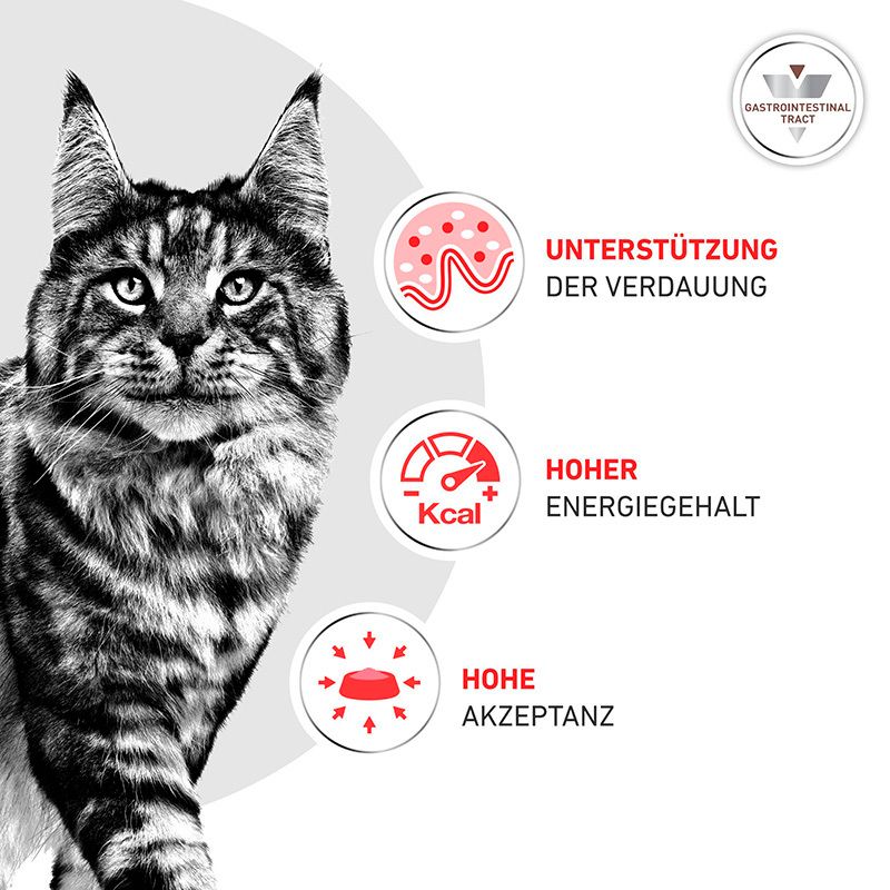 Katze mit Symbolen für Verdauungsunterstützung, hohen Energiegehalt und hohe Akzeptanz von Royal Canin.