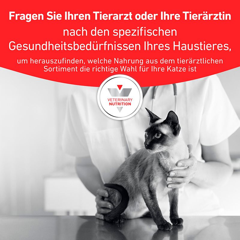 Tierärztin hält Katze. Text: Fragen Sie Ihren Tierarzt nach spezifischen Gesundheitsbedürfnissen.
