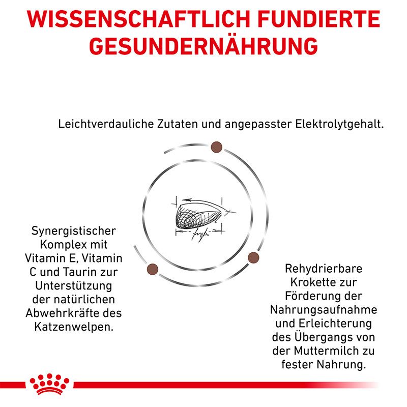 Royal Canin Gastrointestinal Kitten: Wissenschaftlich fundierte gesunde Ernährung für Katzenwelpen.