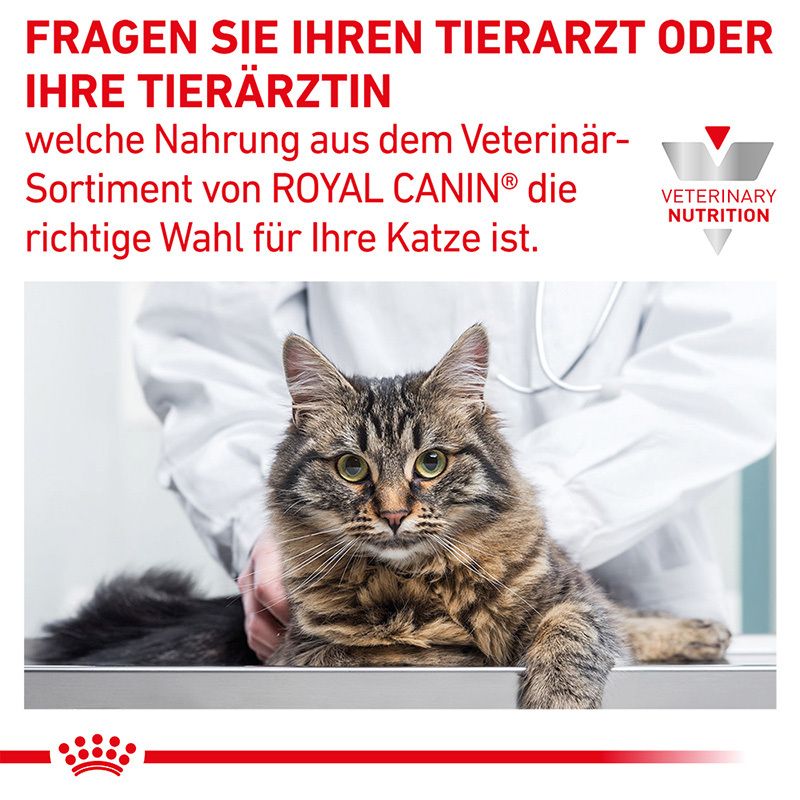 Fragen Sie Ihren Tierarzt nach der richtigen Royal Canin Ernährung für Ihre Katze.