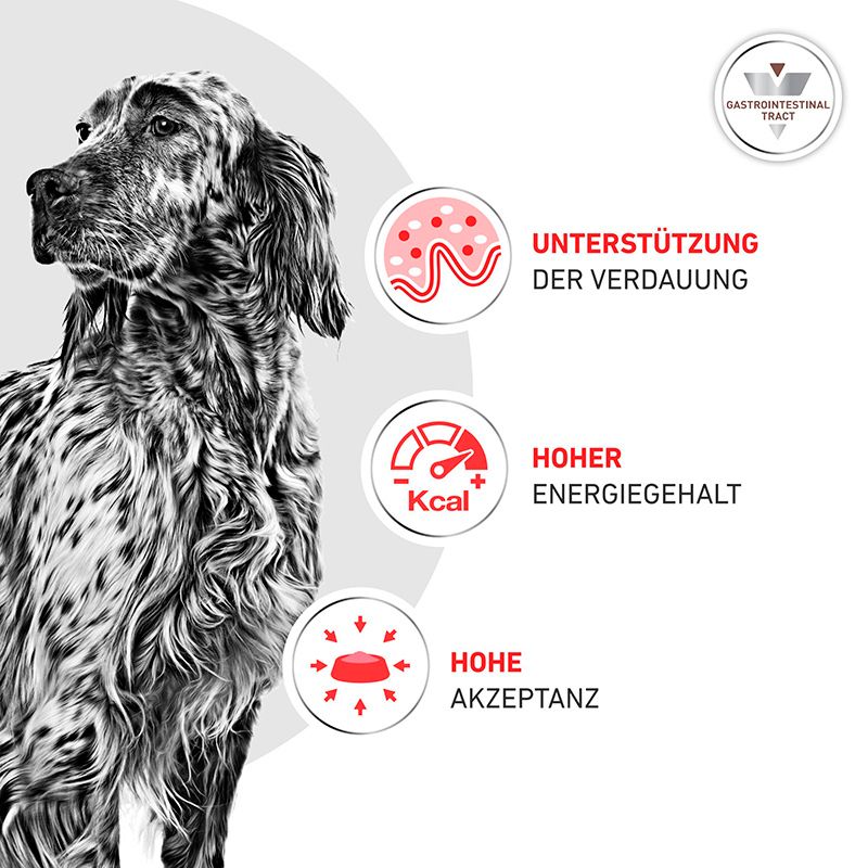 Hund mit Symbolen: Unterstützung der Verdauung, hoher Energiegehalt, hohe Akzeptanz. Royal Canin Gastrointestinal.