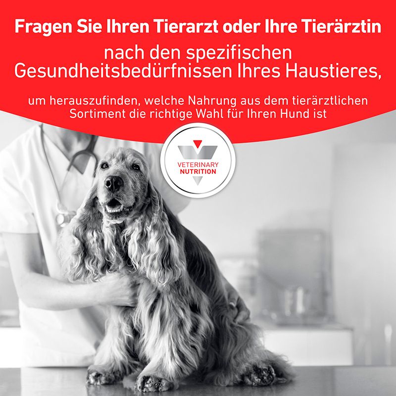 Tierarzt hält Hund. Text: Fragen Sie Ihren Tierarzt nach spezifischen Gesundheitsbedürfnissen. Royal Canin Veterinary Nutrition.