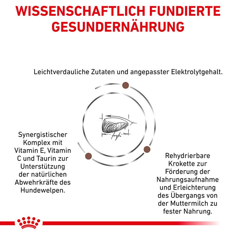 Wissenschaftlich fundierte Hundenahrung: Leicht verdauliche Zutaten, Vitamin C und Taurin zur Unterstützung der Abwehrkräfte.