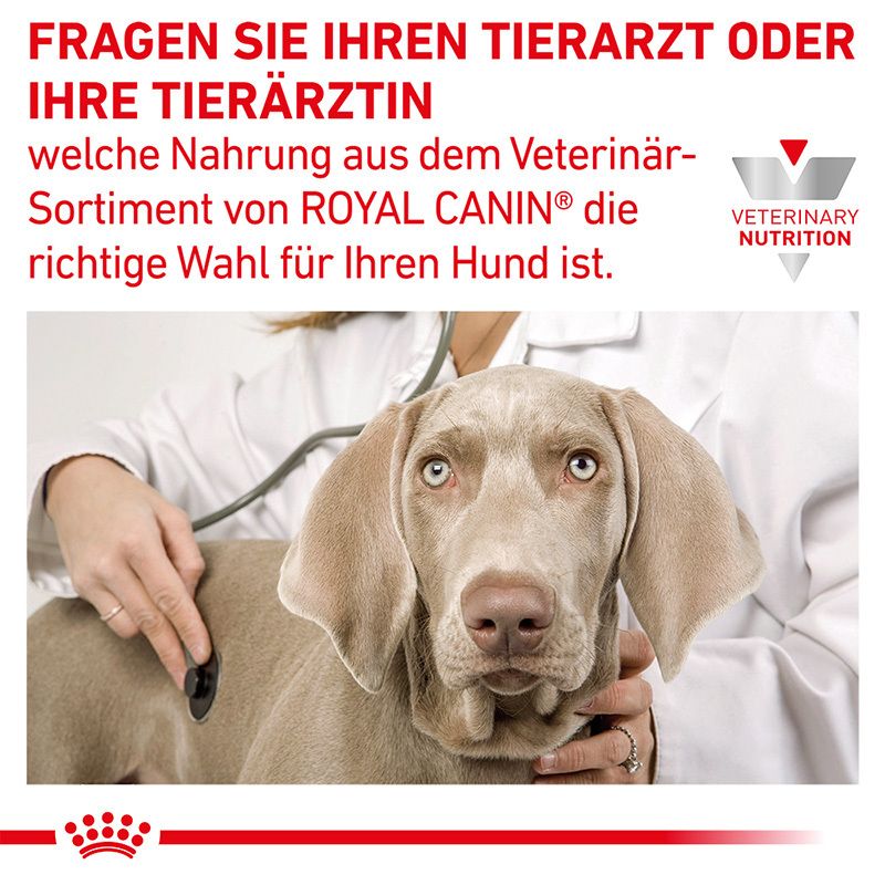 Fragen Sie Ihren Tierarzt nach der richtigen ROYAL CANIN® Ernährung für Ihren Hund.