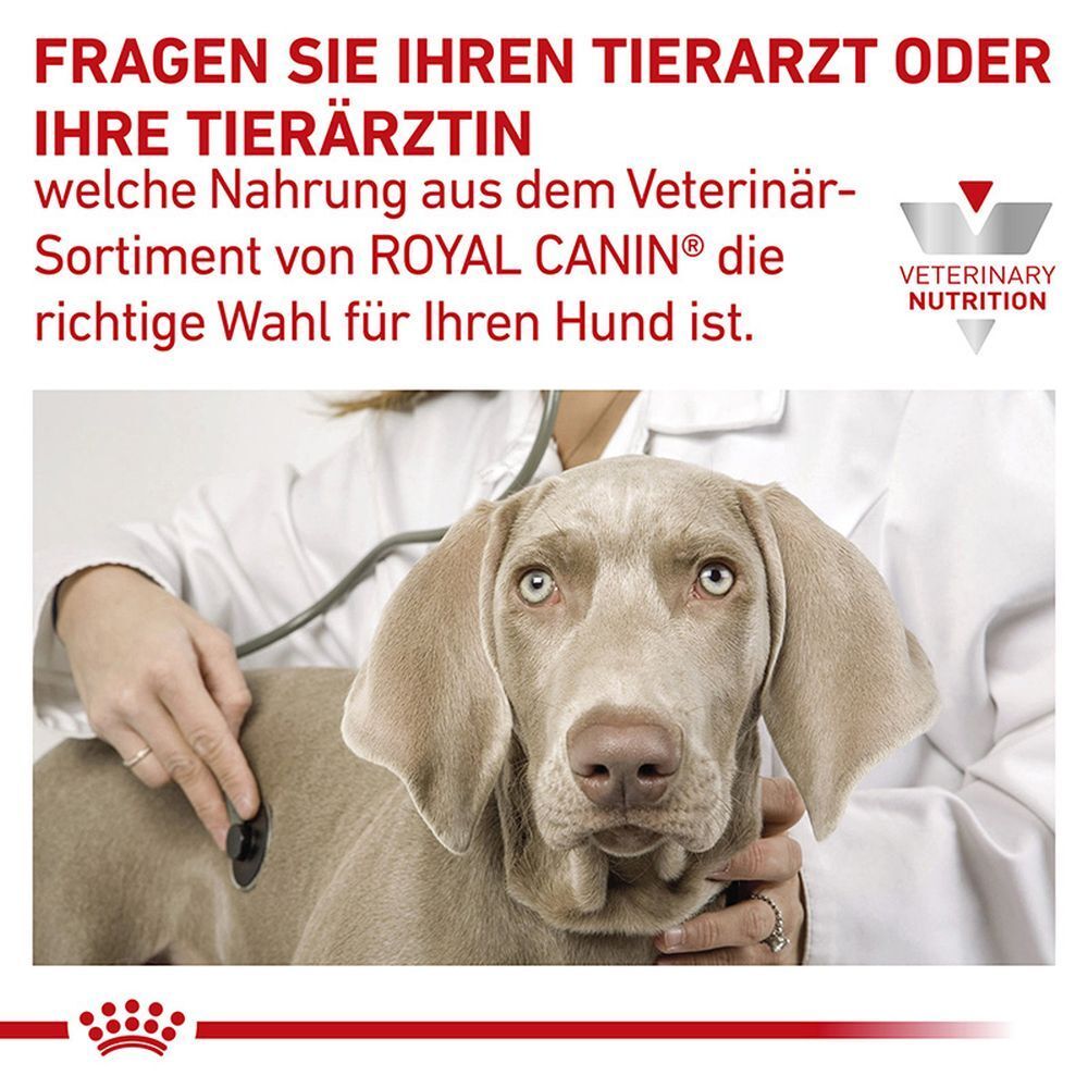 ROYAL CANIN® GASTROINTESTINAL LOW FAT Mousse Dog