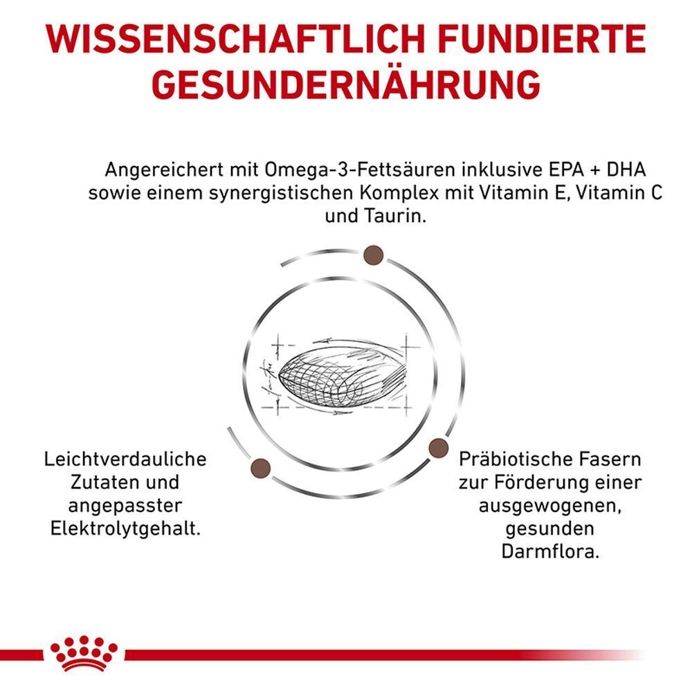 Royal Canin Hundefutter: Wissenschaftlich fundierte Ernährung mit Omega-3-Fettsäuren, Vitaminen und Ballaststoffen.