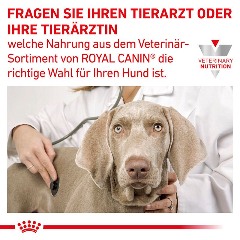 Fragen Sie Ihren Tierarzt oder Ihre Tierärztin nach der richtigen Royal Canin Nahrung für Ihren Hund.