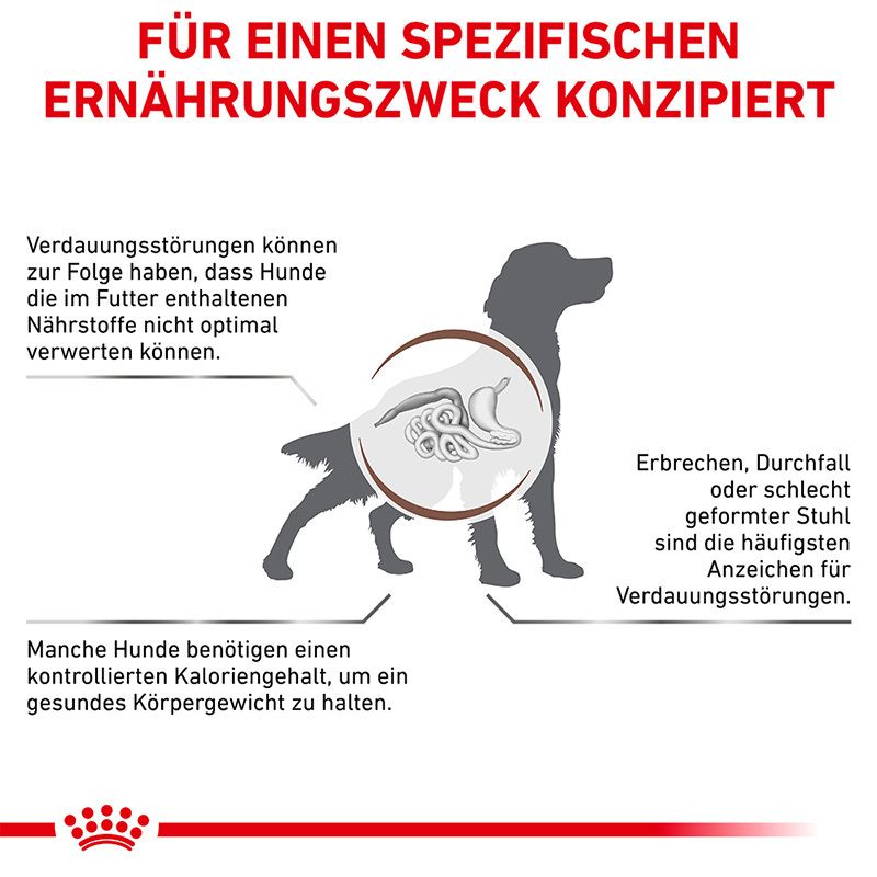 Illustration eines Hundes mit Fokus auf das Verdauungssystem und Royal Canin Futter.