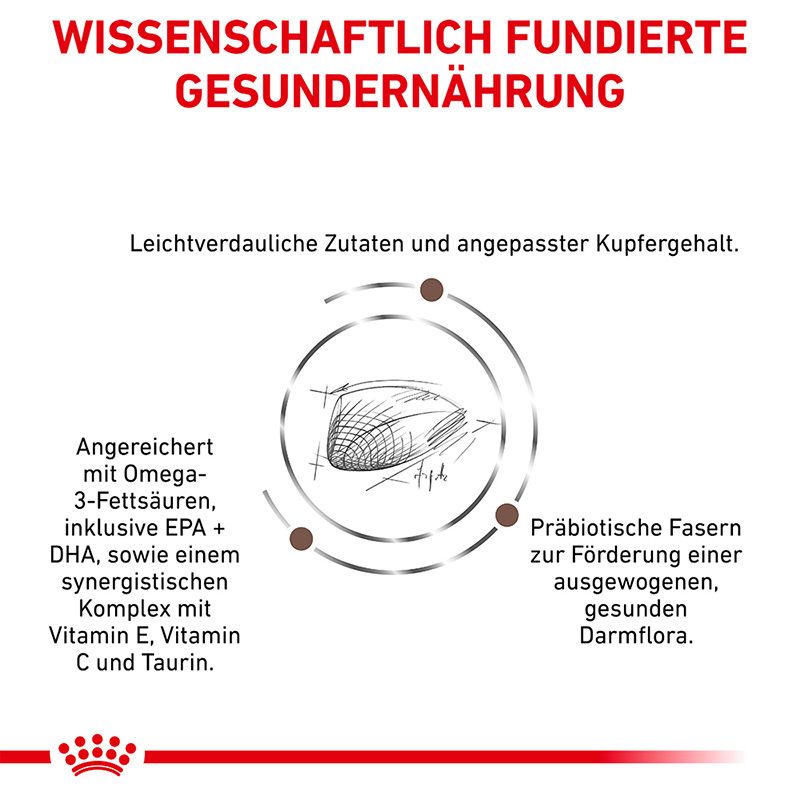 Grafik mit Text zu wissenschaftlich fundierter Hundenahrung, Zutaten und Darmflora.