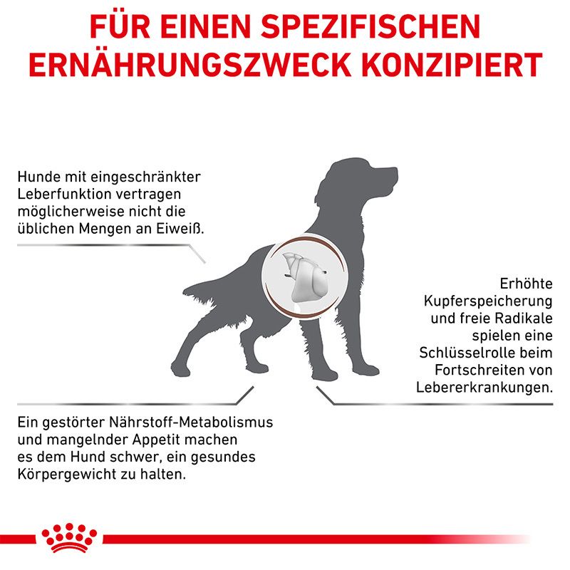 Grafik zur Unterstützung der Leberfunktion bei Hunden mit Illustration eines Hundes.