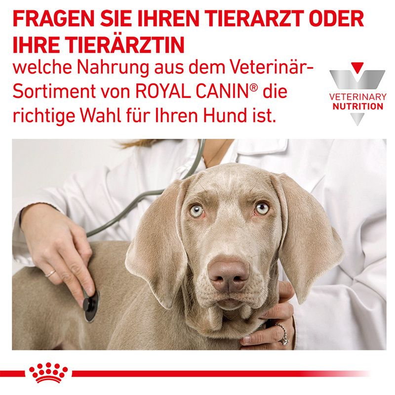 Tierarzt untersucht Hund mit Stethoskop, ROYAL CANIN® VETERINARY NUTRITION Logo.