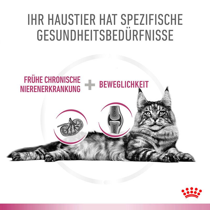 Royal Canin Early Renal: Für Katzen mit chronischer Nierenerkrankung und Mobilitätsproblemen.
