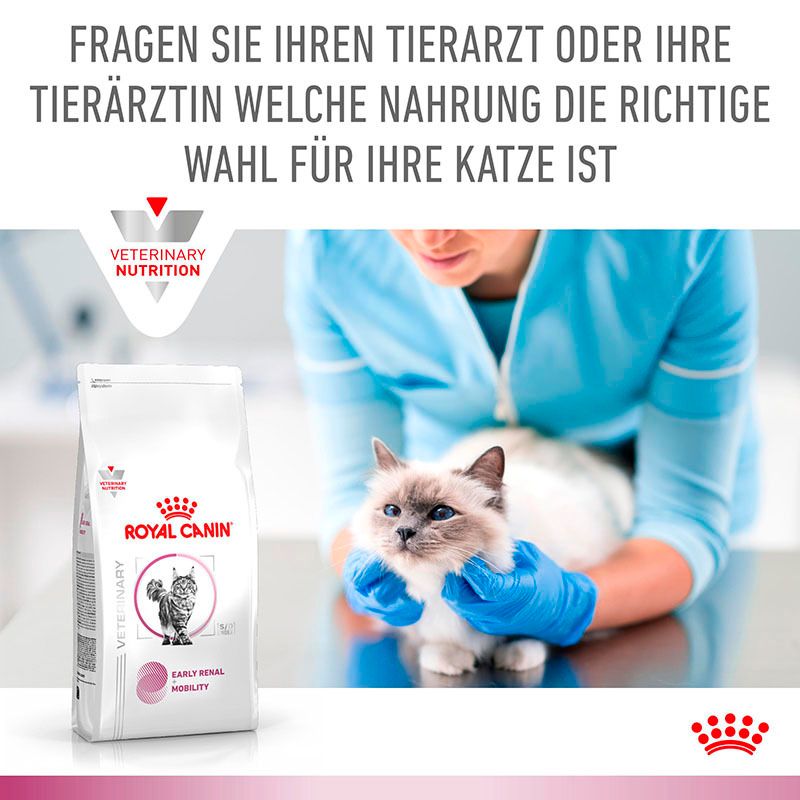 Tierarzt berät zur Fütterung von Royal Canin Early Renal für Katzen.