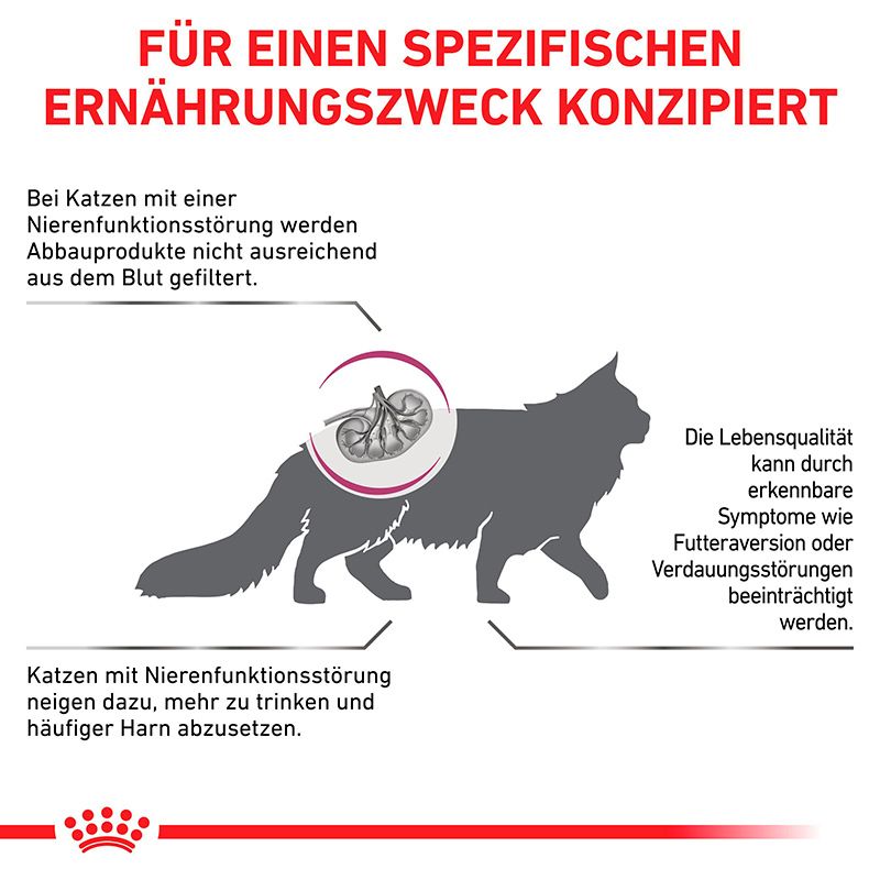 Konzipiert für Katzen mit Nierenfunktionsstörung: Illustration einer Katze und Nieren.