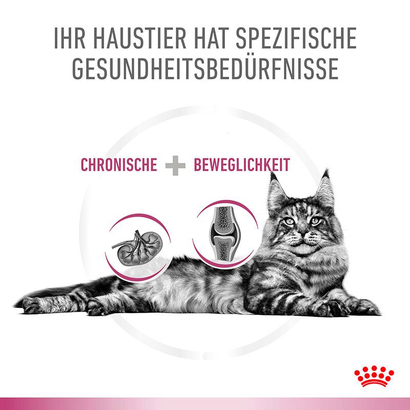 Royal Canin Veterinary Mobility: Ernährung für Katzen mit spezifischen Gesundheitsbedürfnissen, Nieren und Gelenke.