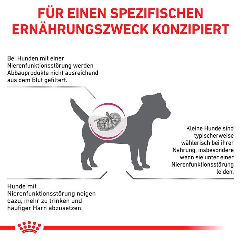 ROYAL CANIN® für Hunde mit Nierenfunktionsstörung: angepasste Ernährung für kleine Hunde.