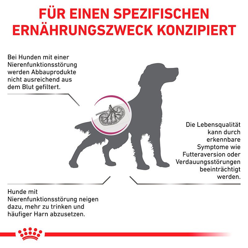 Hund mit Nierenunterstützung: Royal Canin Veterinary Renal Futter für Hunde.