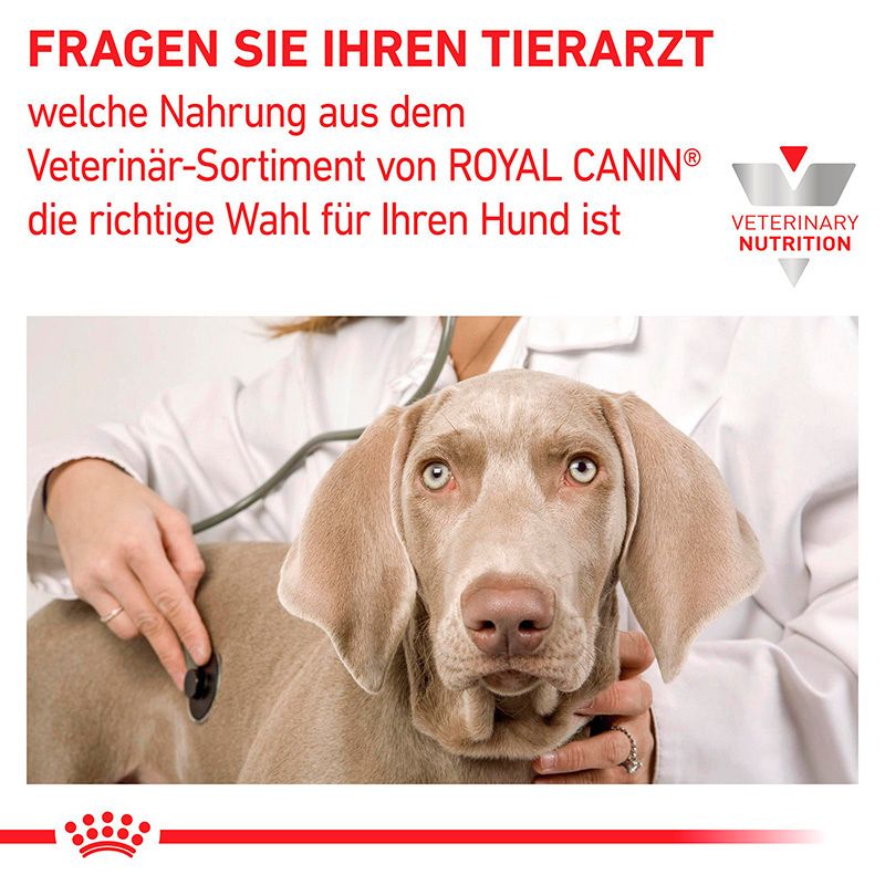 Tierarzt berät Hundebesitzer über Royal Canin Veterinary Nutrition.