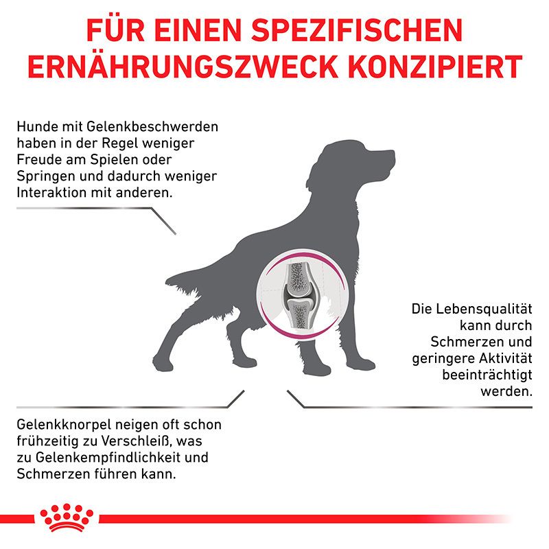 Hunde mit Gelenkbeschwerden: Ernährungskonzept zur Unterstützung der Gelenkfunktion.