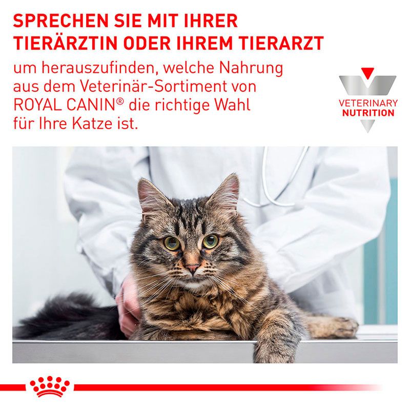 Katze auf einem Untersuchungstisch, Tierarzt im Hintergrund, Hinweis auf Beratung für ROYAL CANIN Expert.