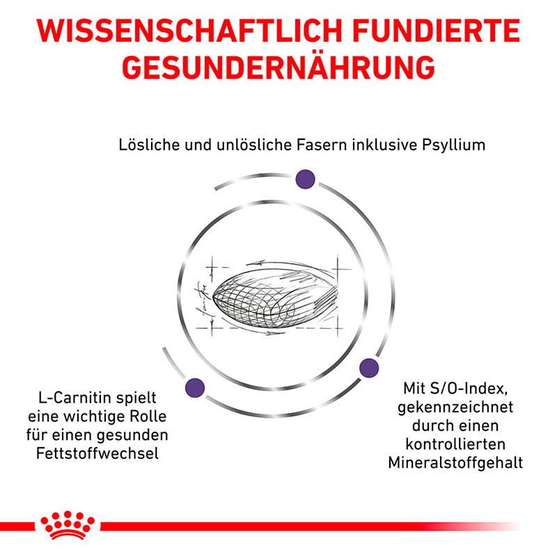 Wissenschaftlich fundierte Katzennahrung mit löslichen und unlöslichen Fasern, L-Carnitin und S/O-Index.