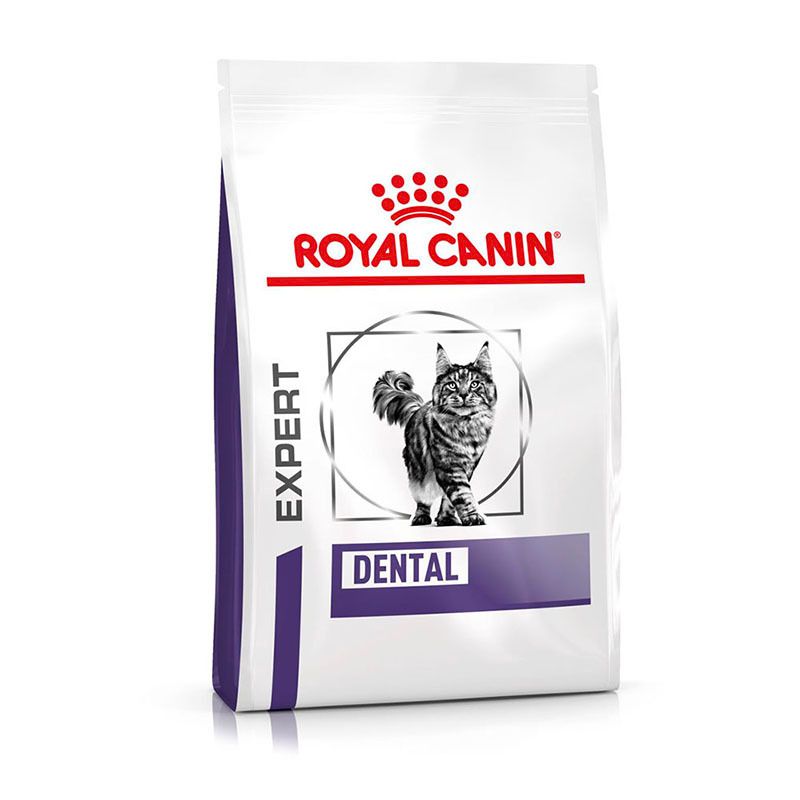 ROYAL CANIN Expert DENTAL Katzenfutter-Beutel mit Katze-Illustration und Produktinformationen.