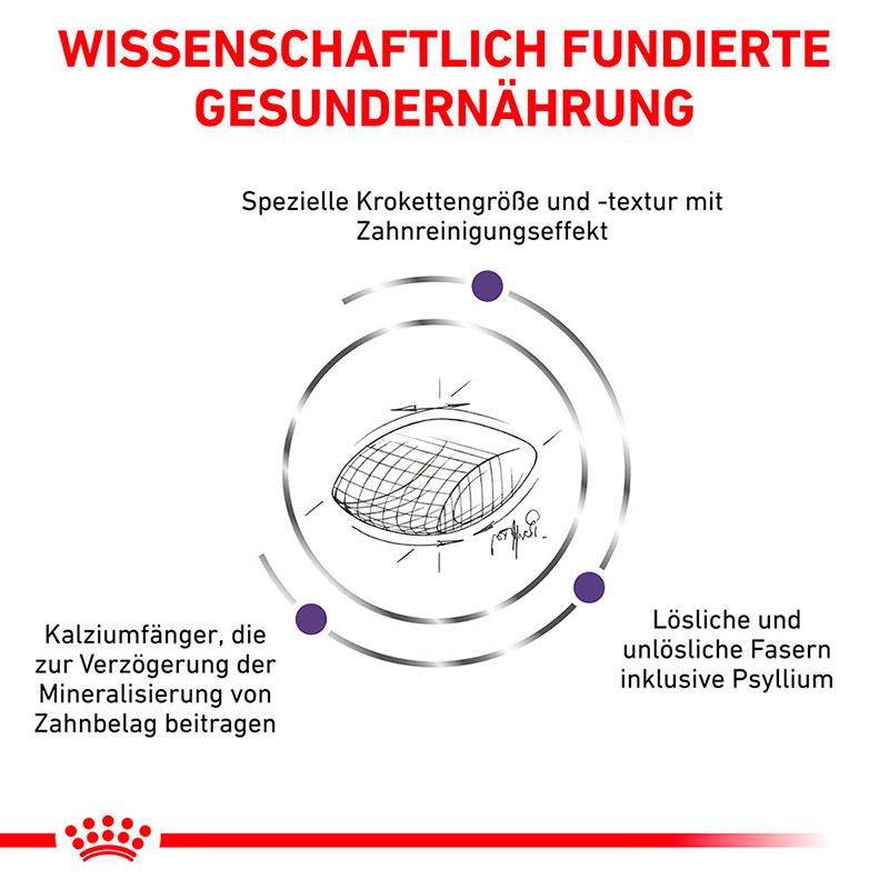Grafik erklärt die wissenschaftlich fundierte Ernährung von ROYAL CANIN Dental Katzenfutter.