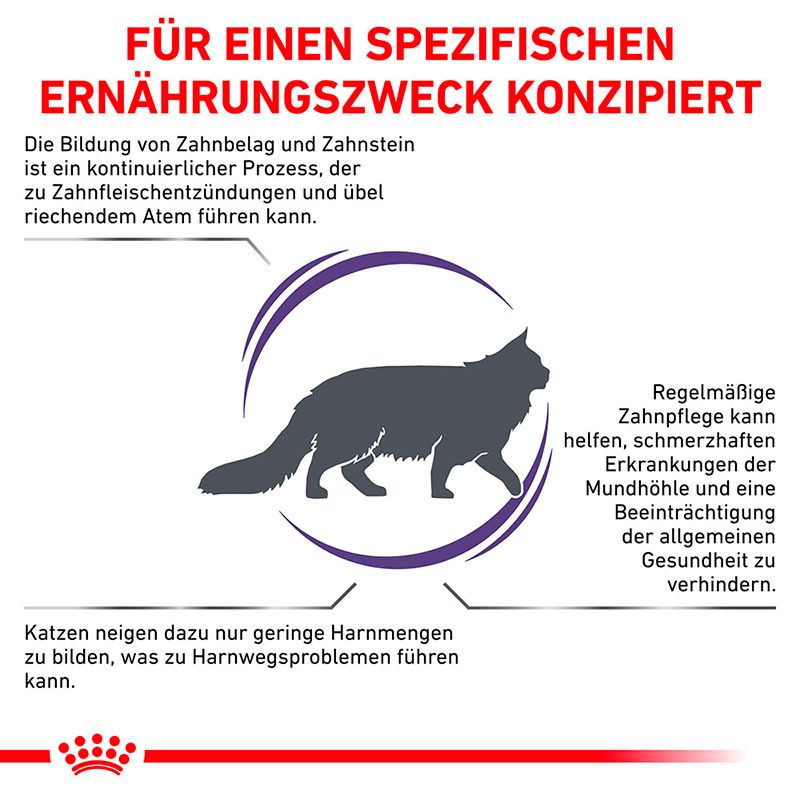 Grafik zeigt die Problematik von Zahnbelag und Zahnstein bei Katzen und die Lösung durch Ernährung.