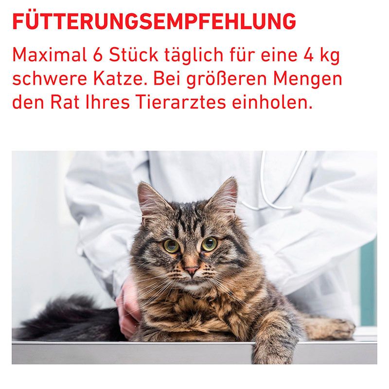 ROYAL CANIN Pill Assist: Fütterungsempfehlung für Katzen und Bild einer Katze.