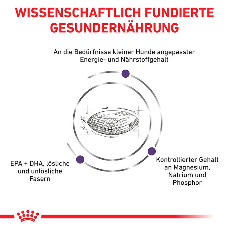 Wissenschaftlich fundierte Ernährung für kleine Hunde, EPA + DHA, Magnesium.