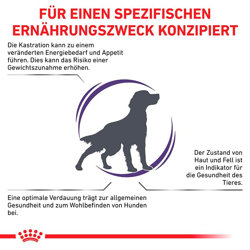 Royal Canin Expert Neutered Adult Medium Dogs: Konzipiert für kastrierte Hunde zur Unterstützung von Verdauung und Haut/Fell.