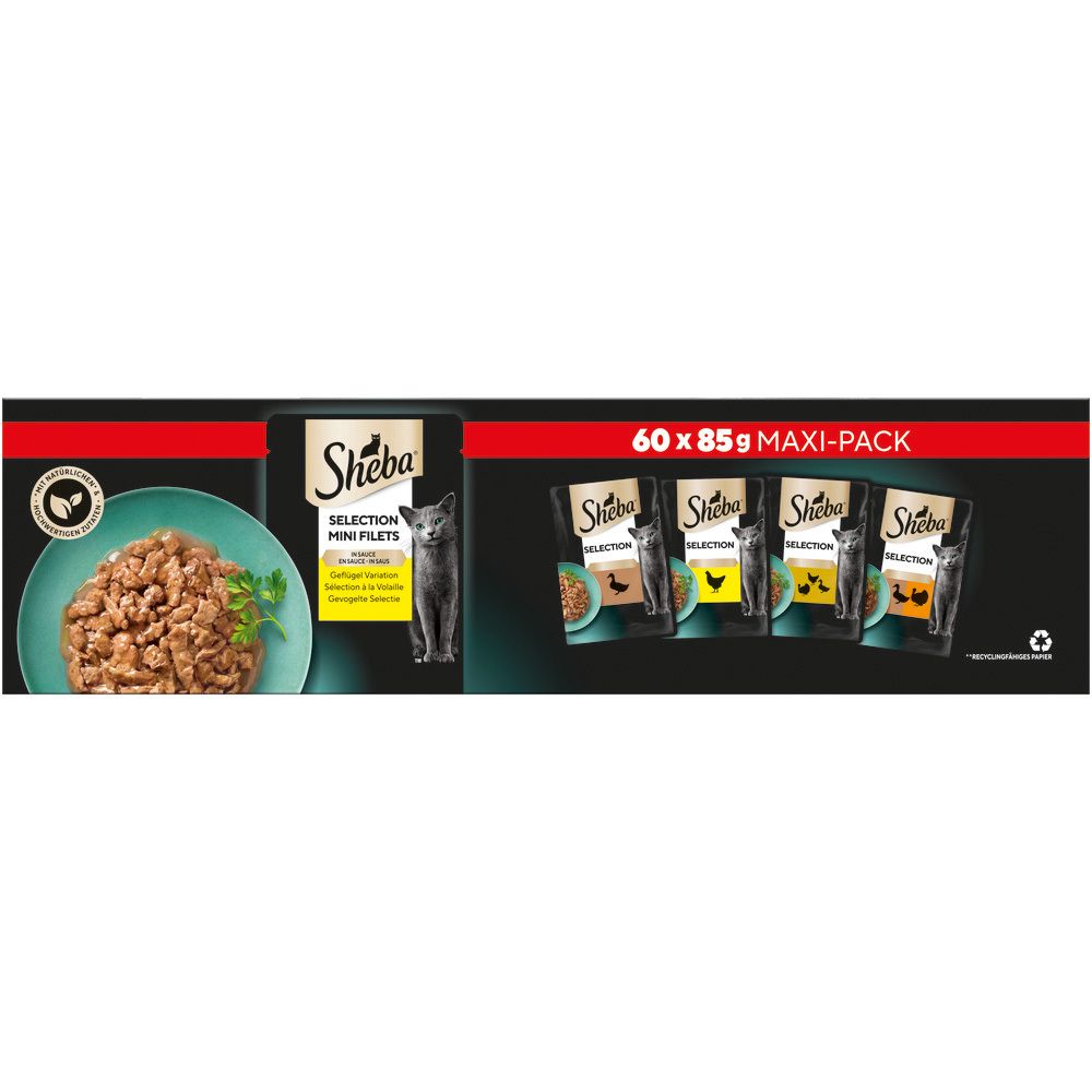 Maxi-Packung mit 60 Beuteln Sheba Katzennahrung in Sauce, Geflügelvariation. Zeigt eine Schale mit Futter und einzelne Beutel.