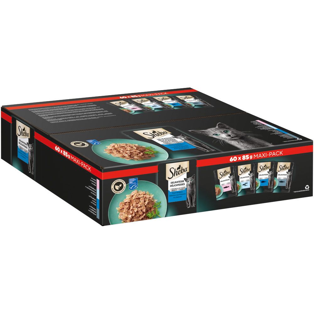 SHEBA Delikatesse Maxi-Pack (60x85g): Kartonverpackung mit Ansichten von Futter und Katzen.