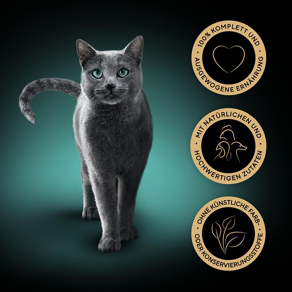 Eine graue Katze mit blauen Augen, daneben Siegel für ausgewogene Ernährung.